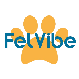 Felvibe